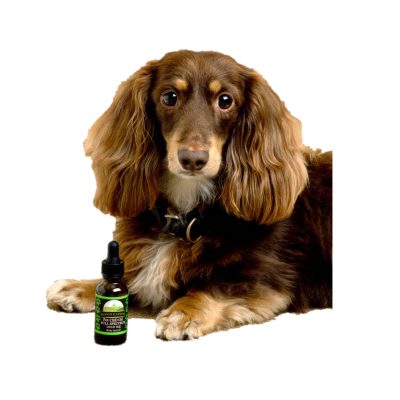 Full Spectrum CBD Pet Oil
