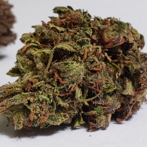 Black Cherry Bliss (Premium Flower)