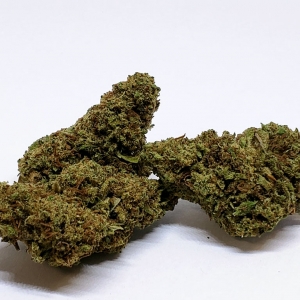 Brilliance (Premium Flower)