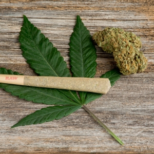 CBD Take 5 – Hemp Pre-rolls