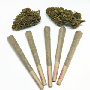 Pre-Roll Variety Pack