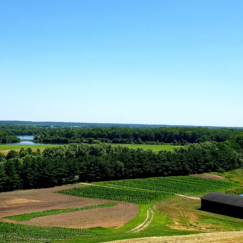 Hemp farm overhead aerial view Banner Harvest Illinois
