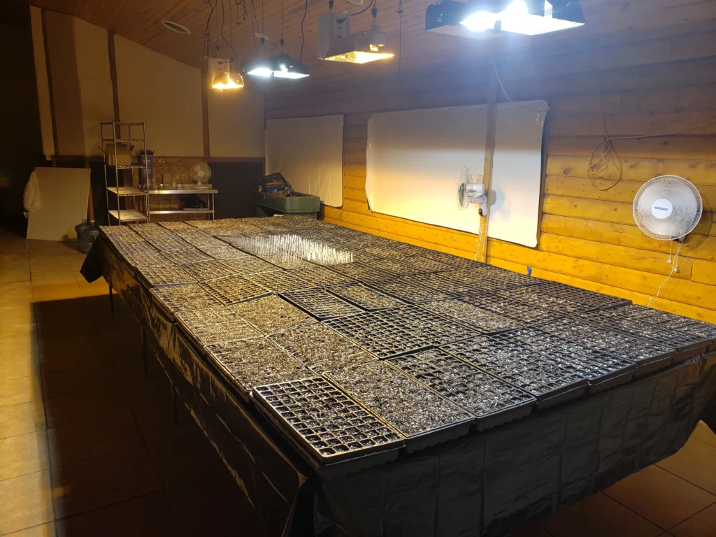 Paul ImOberstag hemp seeds Banner Illinois farm