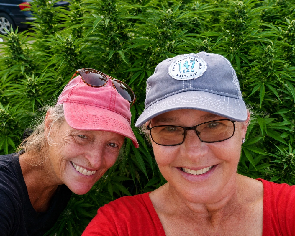 Yolanda ImOberstag hemp field 2019 Banner Harvest Illinois